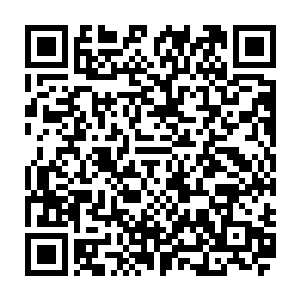 这血煞追魂术是他结合奥林匹斯秘法和上古魔门秘法所创造出来的一门秘术二维码生成