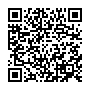 这让一向被动了解消息的苏文真的不知道这剧组现在在哪了呢二维码生成