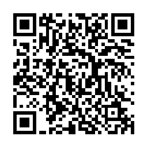 这让大丰城中丧尸的综合实力和战斗力变得更加的强悍二维码生成