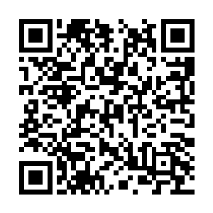 这让整座巨大的山峰瞬间就成了耸立森林的级地标二维码生成