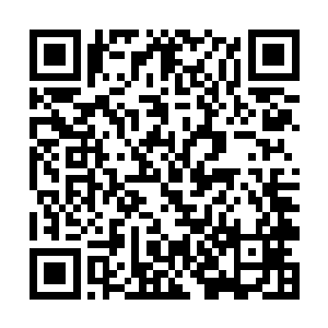 这让本身拥有巨大威力的投石车的可用性大大地提升二维码生成
