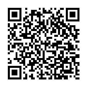 这让流墨墨倒是没了直接把那几个池子抽取干的意思二维码生成
