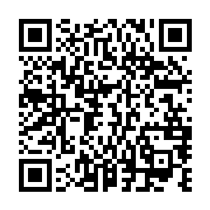 这让赵虎对于眼前的星核碎片充满了期待和势在必得的决心二维码生成