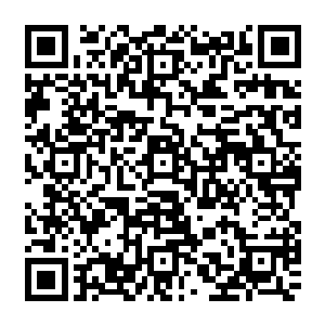 这让领悟了百多年将近两百年才领悟出属于自己下品中等圣域绝学的圣罗宗老祖极嫉妒非常二维码生成