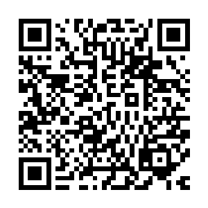 这足以证明秦方的赌术是何等厉害了……而眼前的这几个赌客二维码生成