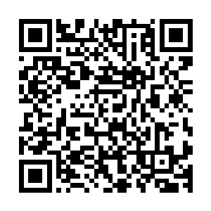 这足以证明自己最新感悟而出的佛法压根就起不到任何的作用二维码生成