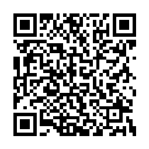 这跟我在地球里提倡的全民皆修完全是两个极端二维码生成