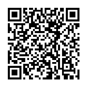 这辆车里面的杀手一看出租车如同发疯一般的撞了过来二维码生成