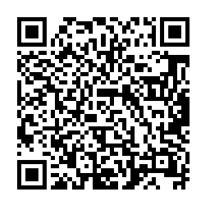 这边还有星际海盗头子――最牛逼的是那边还有三万亿的虫族在嗷嗷待哺……二维码生成