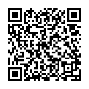 这还是他第一次在着地球上看到一件货真价实的法宝二维码生成