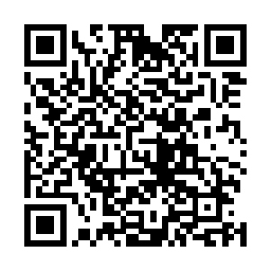 这还是梁少下注比较克制才会出现的情况……可毫无疑问二维码生成