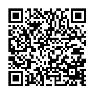 这迷族御座可是迷族之内仅有的几个身份极为尊贵之人二维码生成
