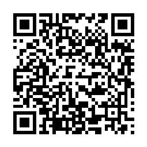 这通灵的精血比徒儿献上的那一滴所蕴含的力量要强大得多二维码生成