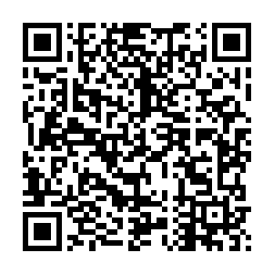 这邪灵之珠乃是由死去修士骨骼里面残存的最精纯的力量衍化而成二维码生成