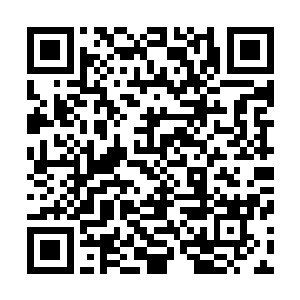 这部仅仅投资四百四十万的作品在北美拿下五千两百万票房二维码生成