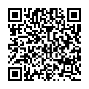 这部在此前受到了无数赞誉的作品还是赢得了相对应的认可二维码生成