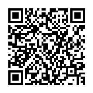 这里也就只有墨家的大小姐才有资格去和申公家的大小姐争了二维码生成