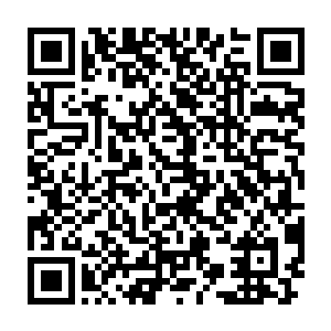 这里人大都亲眼看到了曾经龙战带着一群老猎手用弓箭击杀青羽族二维码生成