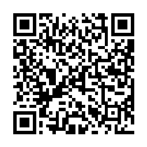 这里他妈的……怎么会有星兽啊……快他妈的跑啊……二维码生成