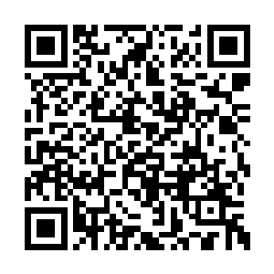 这里就会根据你的力量强化你身体的每一处细胞二维码生成