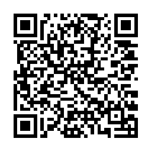 这里所有的树结出来的果实都要存放在储物戒指之中二维码生成
