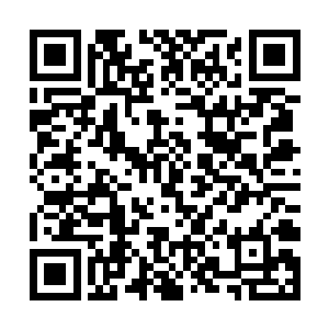 这里的世界规则将在相当长一段时间内无法得到稳定二维码生成
