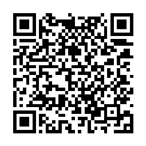 这里的状况第一时间就会被巨象仙宗的强者所察觉二维码生成