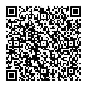 这里的生灵或许会很少可同样的他们将是整个四大真界的最强力量所在道心融入神榜而不再是进入天道二维码生成