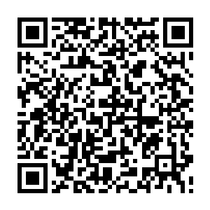 这里简直是不逊于医仙谷的洞天福地――怪不得能孕育保留许多上古物种二维码生成