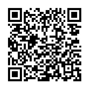 这金甲男子凌厉而狭长的双眼中瞬间闪过一缕暴虐而疯狂的杀机二维码生成