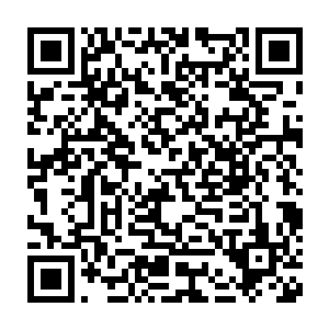 这钱也就白花了……所以秦方看到这个鱼饵才会出现这样诡异的表情二维码生成