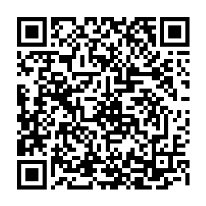 这阮二姐来的实在是太及时了……如果不是这位长得实在是太让人倒胃口的话二维码生成