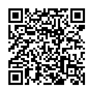 这面镜子是他从一家正在清仓的旧货商店里找到的二维码生成