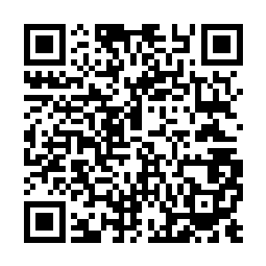 这颗行星已被入类自己打响的核战破坏得满目疮痍二维码生成