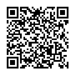 这颗陨石是我们星辰拍卖行的人在星兽星域意外获得的宝贝二维码生成