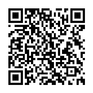 这鬼重瞳子抗击打能力之强实在是强过战斗机啊二维码生成