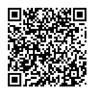 这黑甲殿来历不简单……背后的东家据说是十几个海域之外的黑甲宫二维码生成