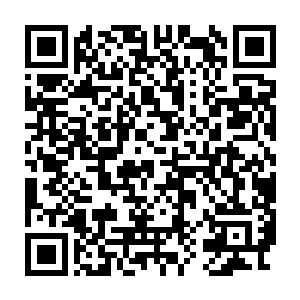 这龙之血脉估计还没有在他的身上捂热立刻就要成为大家争抢的对象了二维码生成