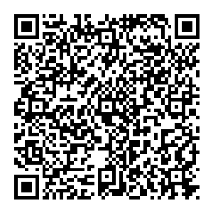 进入青丘的第二人 里面有姬宫涅的残魂 难怪你能够与他相遇 竟是为他差点付出了生命 我狐祖之人 每一代九尾天狐 都是如此 二维码生成