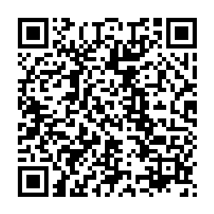 远处的岳宝山和贾正军看到警察和香港卫生督察行署的人冲了过来二维码生成