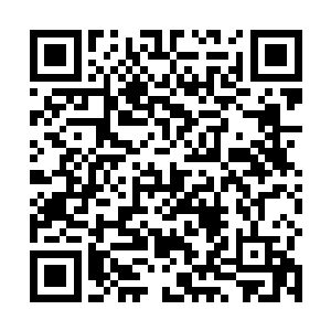 连一双小脚丫在寒风中已经冻得变了颜色都没有觉察到二维码生成