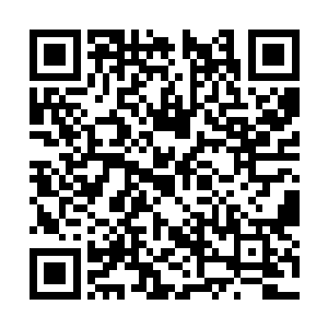 连主宰级人物都没有研究出特殊神器是如何晋级的二维码生成