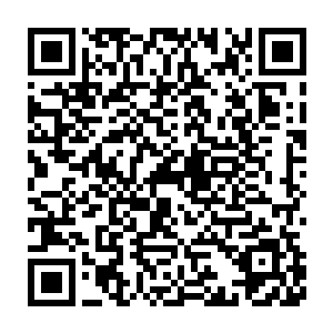 连仙人都算不上的地仙期以下的修士那里是许家这些罗天上仙的对手二维码生成