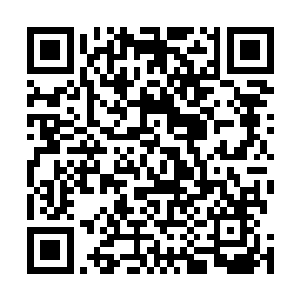 连劳动都承认陆为民在有些问题上的看法的确很有前瞻性二维码生成