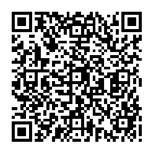 连块破铁都买不起……我要是为了这一万紫灵币去跟人打一架……以我的身价来说二维码生成