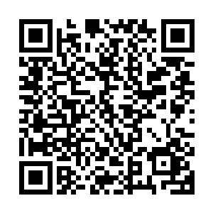 连师傅所赐的飞虎宝剑也在他那恐怖的劲气下被绞碎成了几十片二维码生成