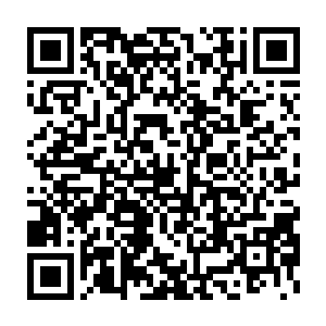 连带着几块悬空的陆地以及大量的宫殿都在那巨大树冠碾压下分崩离析二维码生成