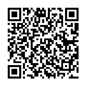 连忙将拍卖会遇到玉简中人的事无比详细的和林烽说了一遍二维码生成