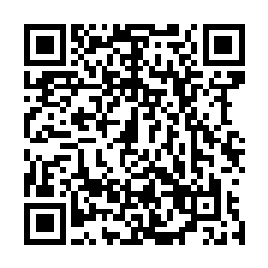 连灵牙仙那以象牙炼制而成的长枪都没能挡住爱丽丝的菜刀二维码生成