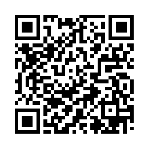 连神国和世界之力都没有完全掌握家伙二维码生成